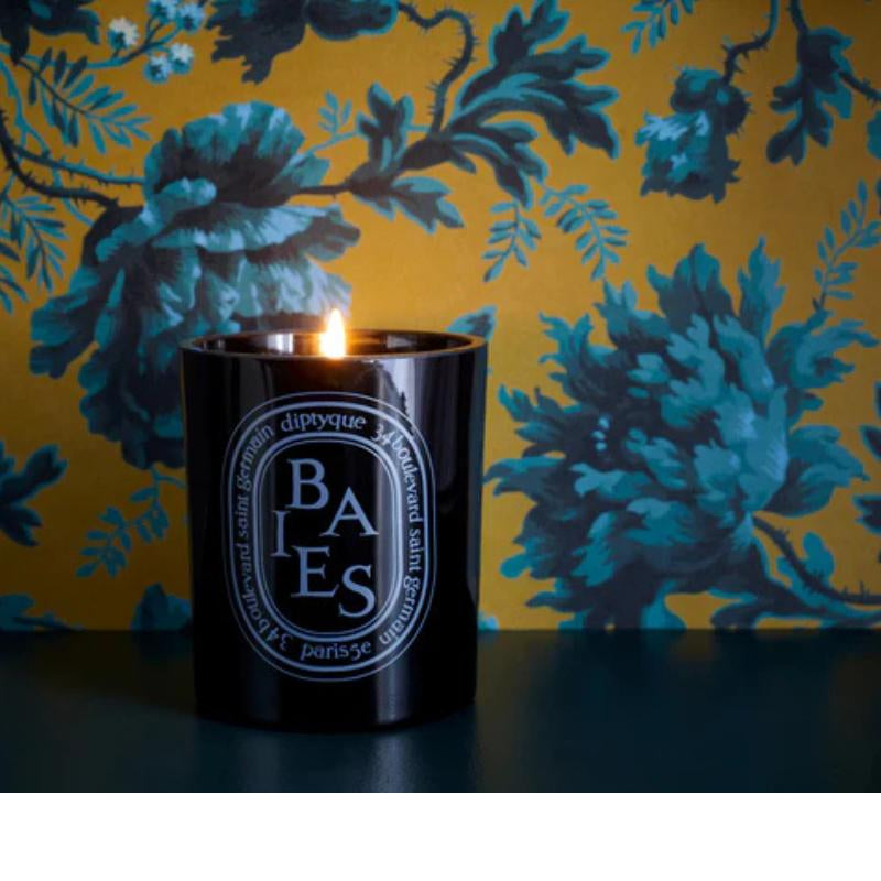 Diptyque Black Baies Floral, 10.2Oz, Freshener, Scented, Make Room More Luxurious, Eco Friendly Decor Ornaments Beautiful Gift Holiday Funny Candles